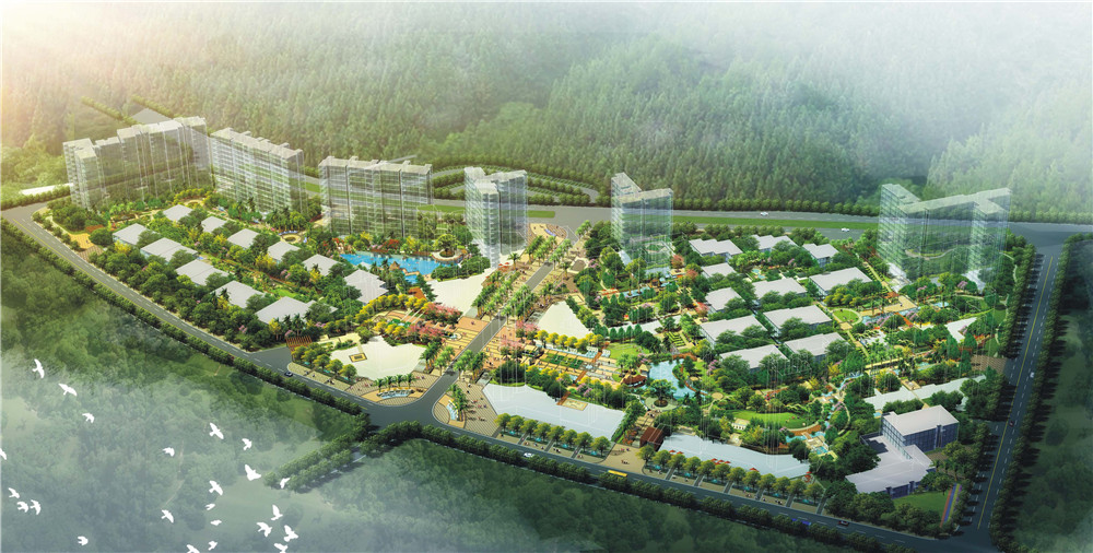 白鹭湾 (1).jpg