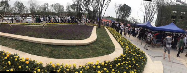 图片7_副本1.png