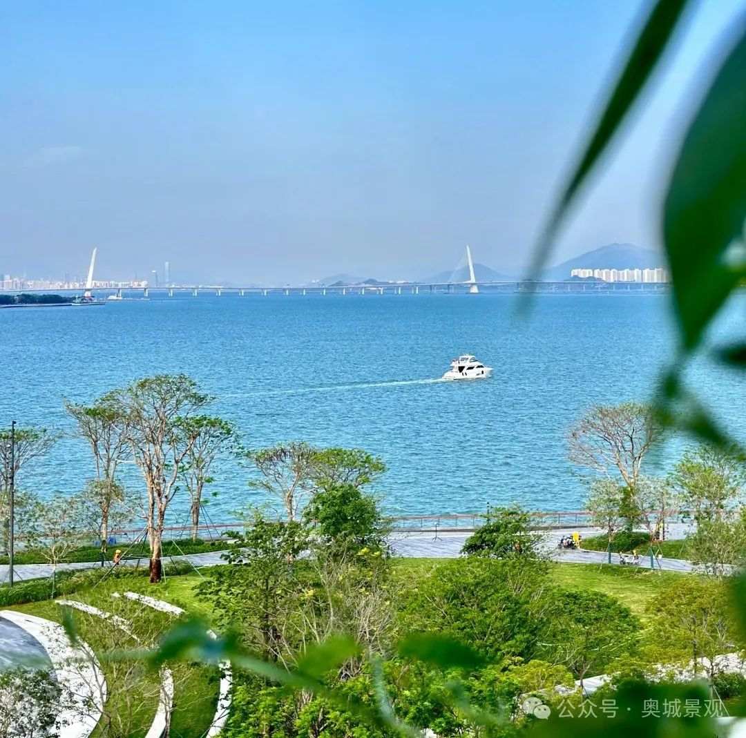 软景7.jpg