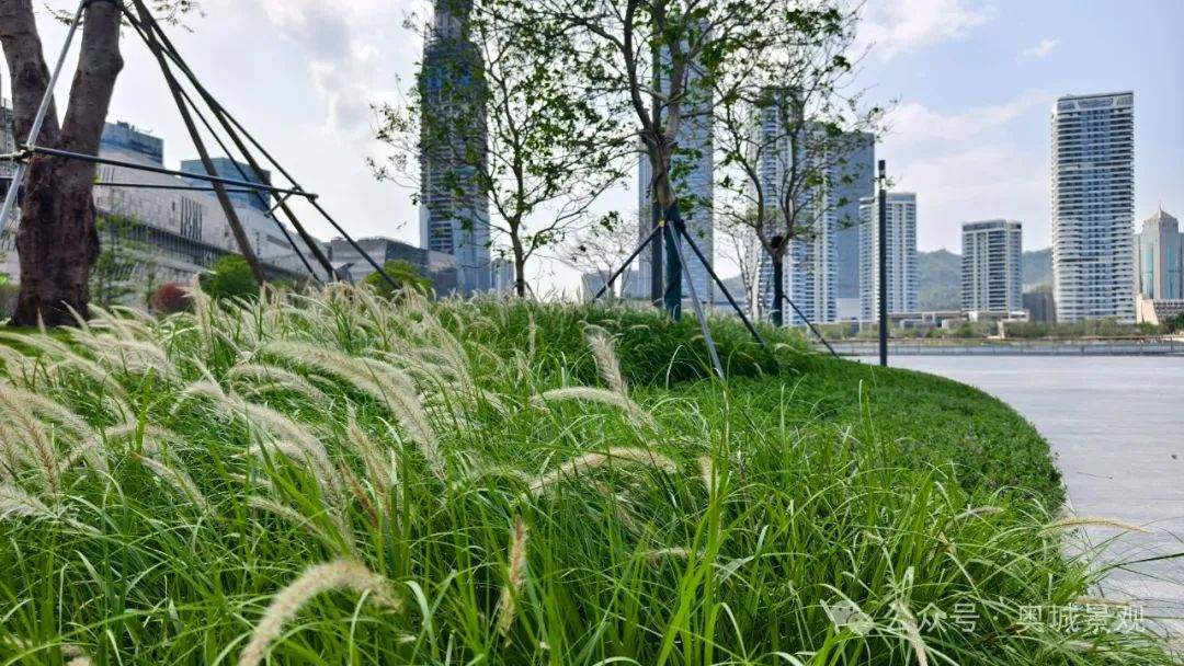 软景9.jpg