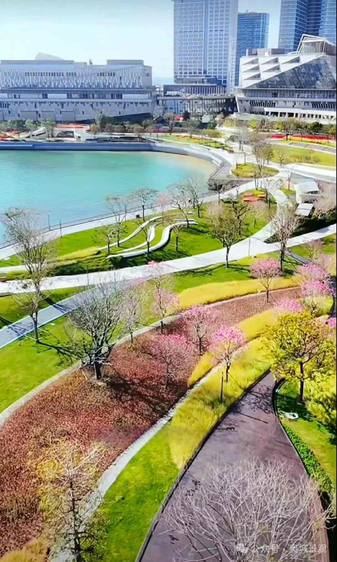 植物1(1).jpg