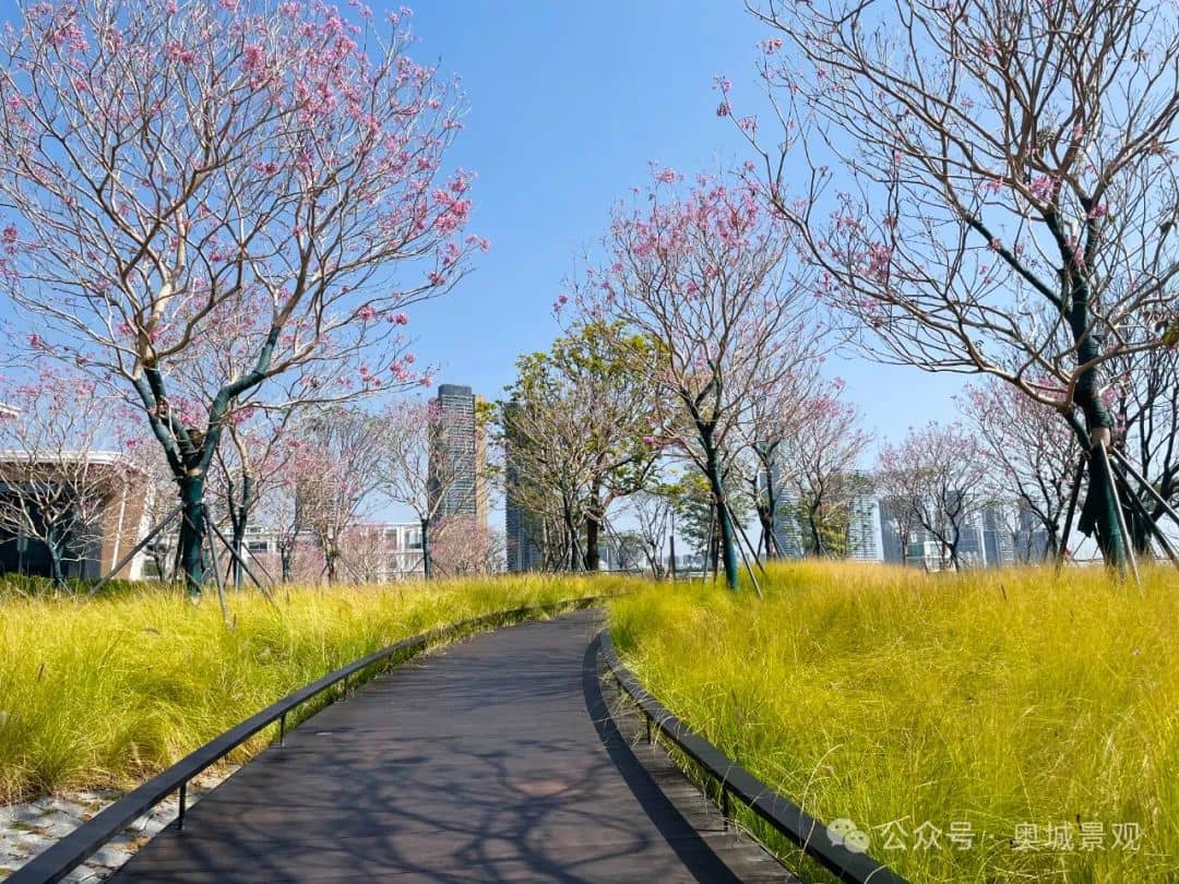 植物6(1).jpg