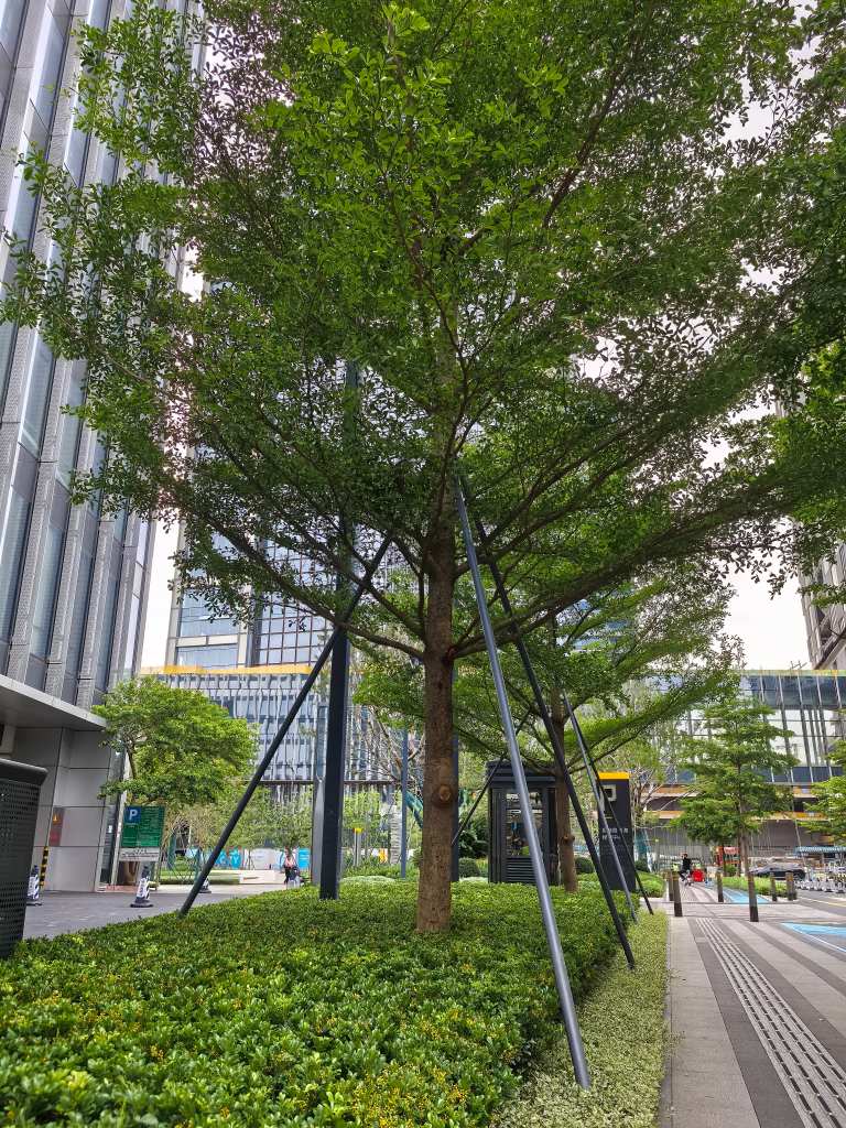 软景7(1).jpg