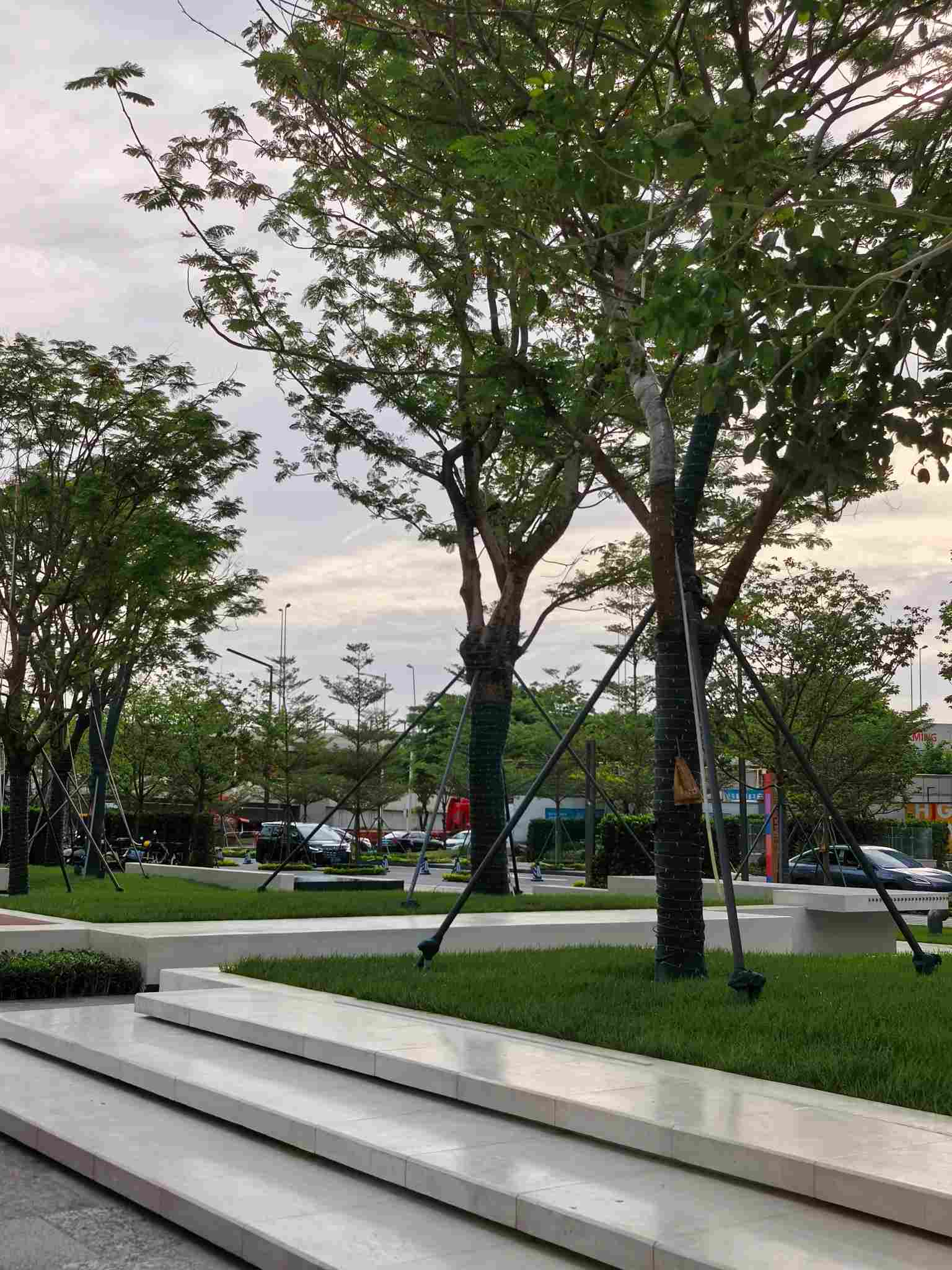 软景8(1).jpg