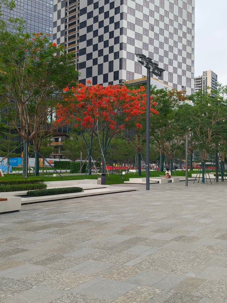 硬景3(1).jpg